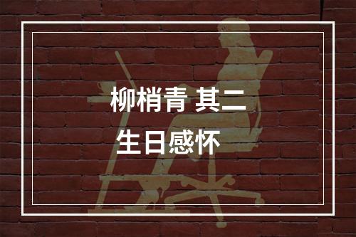柳梢青 其二 生日感怀