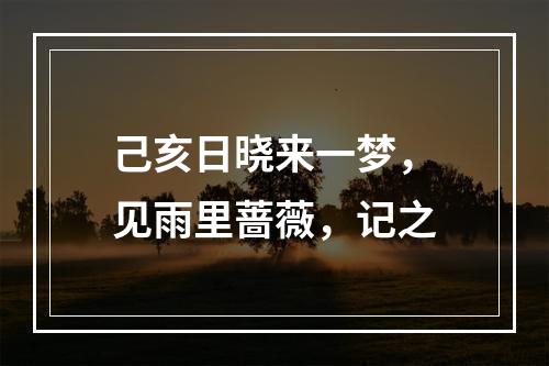己亥日晓来一梦，见雨里蔷薇，记之
