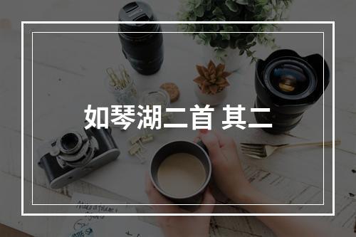 如琴湖二首 其二