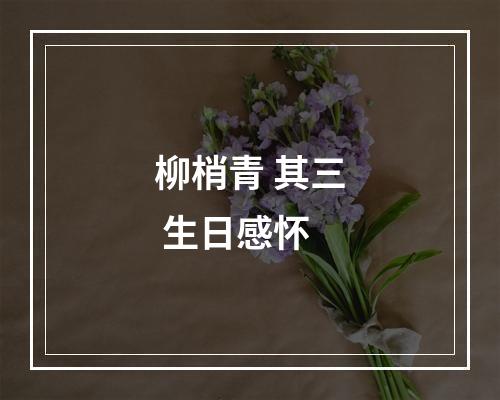 柳梢青 其三 生日感怀