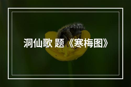 洞仙歌 题《寒梅图》