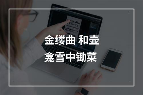 金缕曲 和壶龛雪中锄菜