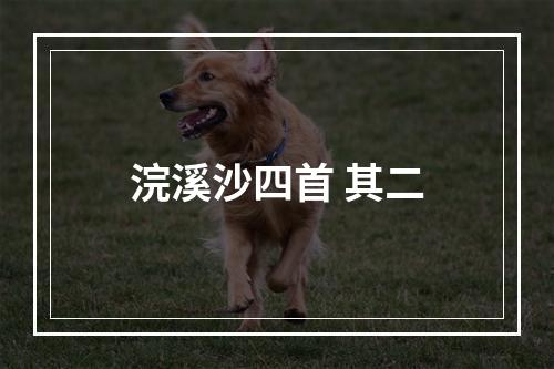 浣溪沙四首 其二