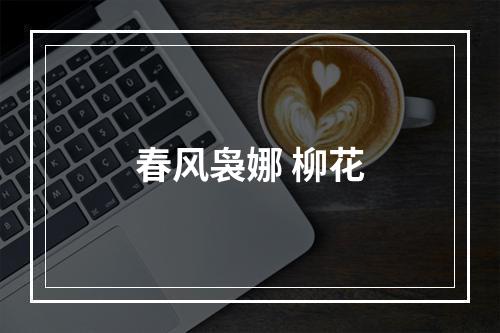 春风袅娜 柳花