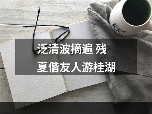 泛清波摘遍 残夏偕友人游桂湖