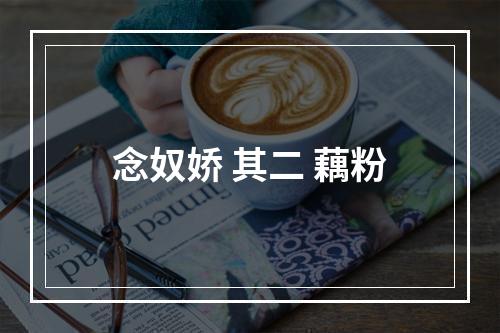 念奴娇 其二 藕粉
