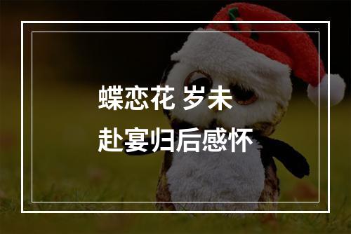 蝶恋花 岁未赴宴归后感怀