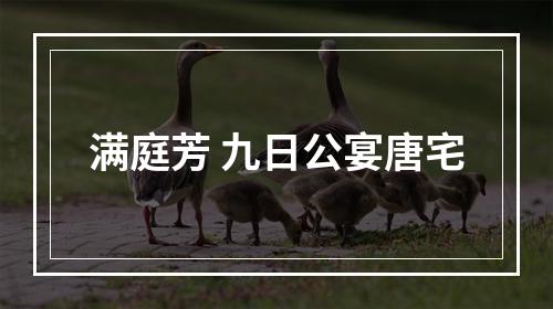 满庭芳 九日公宴唐宅