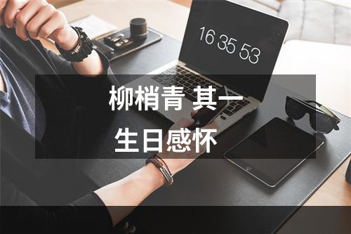 柳梢青 其一 生日感怀