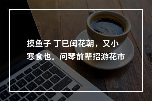 摸鱼子 丁巳闰花朝，又小寒食也。问琴前辈招游花市