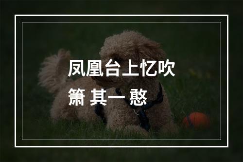 凤凰台上忆吹箫 其一 憨