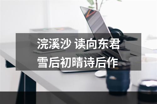 浣溪沙 读向东君雪后初晴诗后作