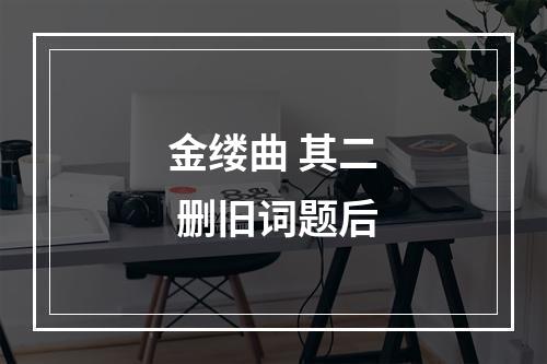 金缕曲 其二 删旧词题后