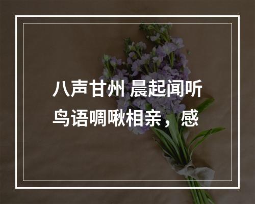 八声甘州 晨起闻听鸟语啁啾相亲，感