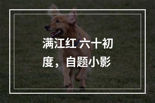 满江红 六十初度，自题小影