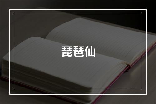琵琶仙