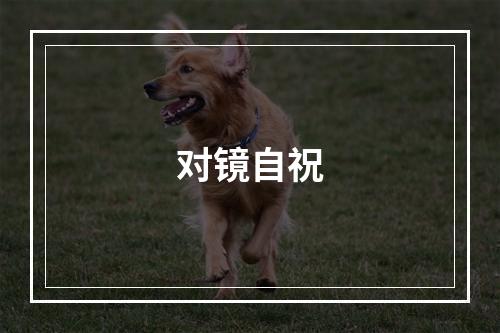 对镜自祝