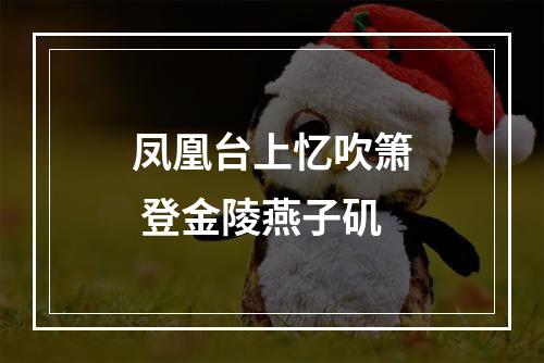 凤凰台上忆吹箫 登金陵燕子矶