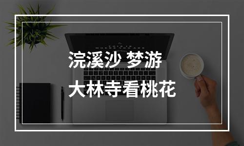 浣溪沙 梦游大林寺看桃花