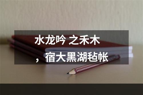 水龙吟 之禾木，宿大黑湖毡帐