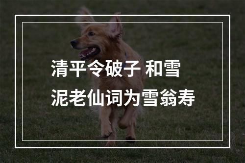 清平令破子 和雪泥老仙词为雪翁寿