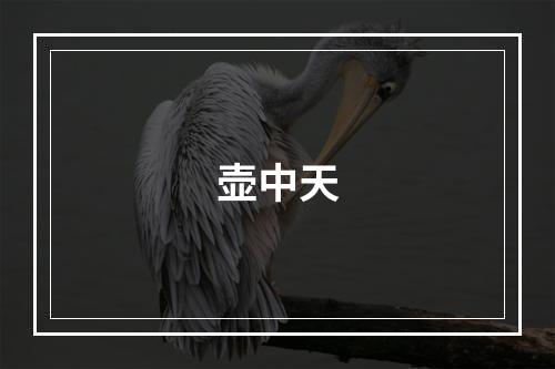 壶中天