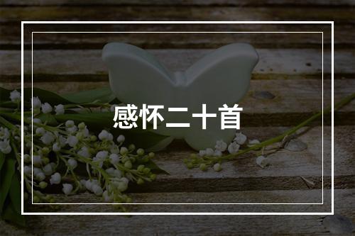 感怀二十首