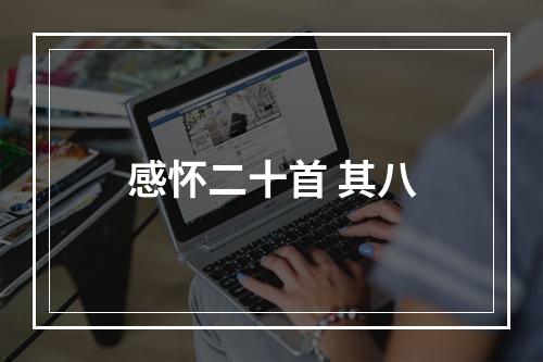 感怀二十首 其八