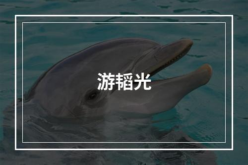 游韬光