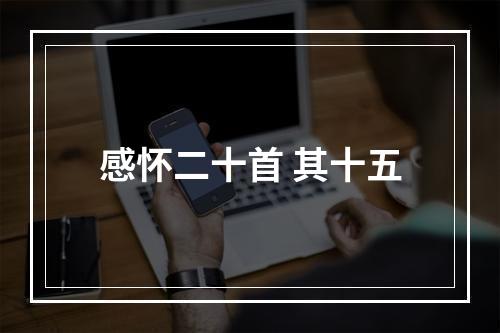 感怀二十首 其十五