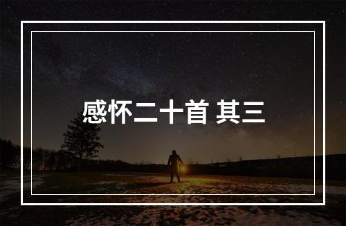 感怀二十首 其三