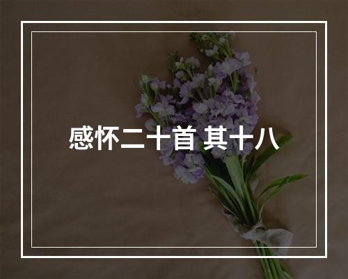 感怀二十首 其十八