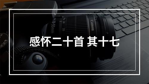感怀二十首 其十七