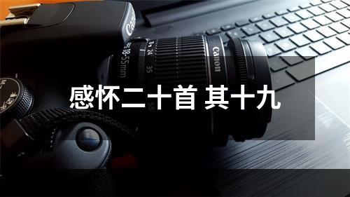 感怀二十首 其十九