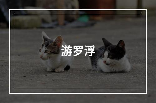 游罗浮