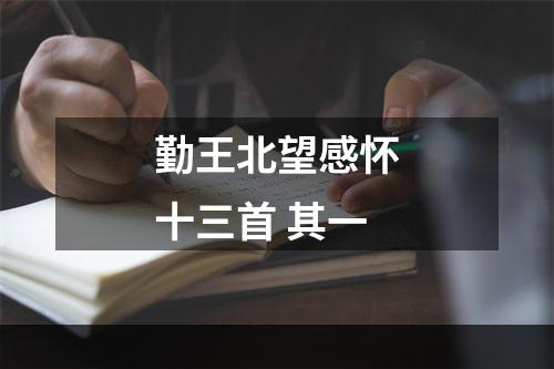 勤王北望感怀十三首 其一