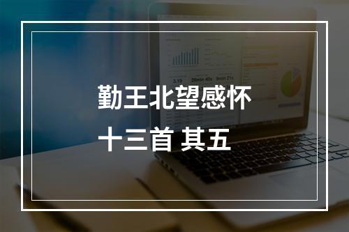 勤王北望感怀十三首 其五