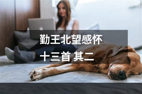 勤王北望感怀十三首 其二
