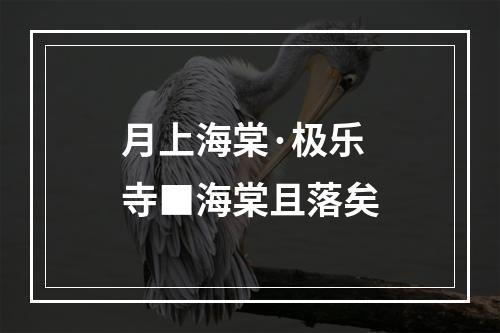 月上海棠·极乐寺■海棠且落矣