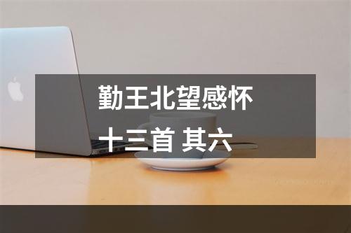 勤王北望感怀十三首 其六