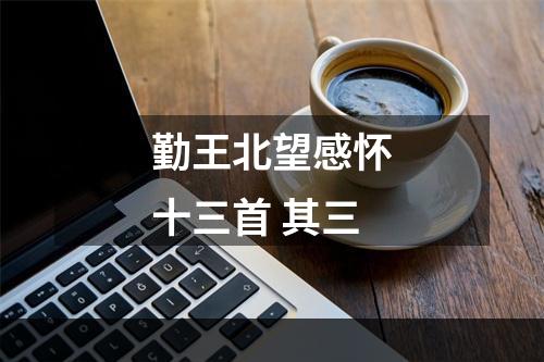 勤王北望感怀十三首 其三
