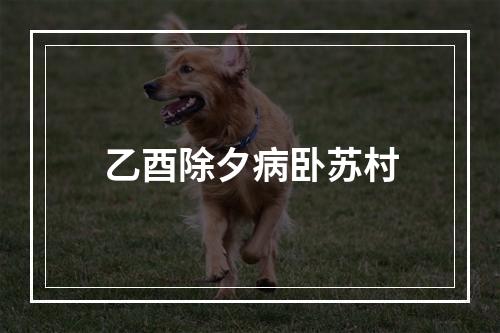 乙酉除夕病卧苏村