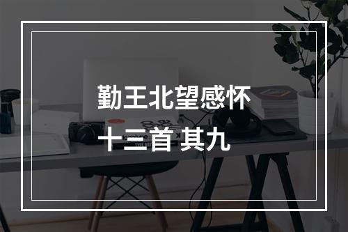 勤王北望感怀十三首 其九