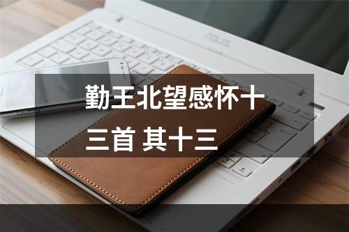 勤王北望感怀十三首 其十三