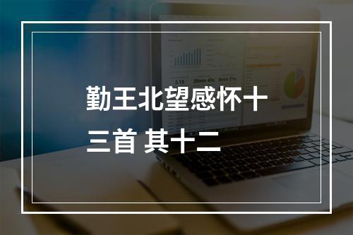 勤王北望感怀十三首 其十二
