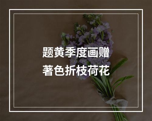 题黄季度画赠著色折枝荷花