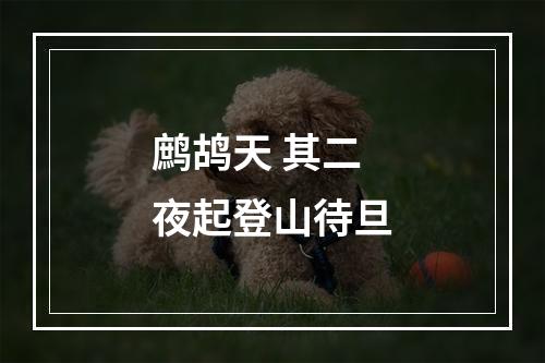 鹧鸪天 其二 夜起登山待旦