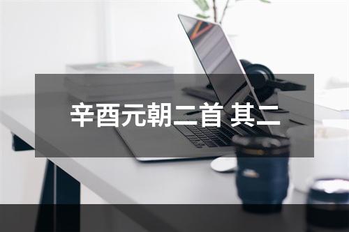 辛酉元朝二首 其二
