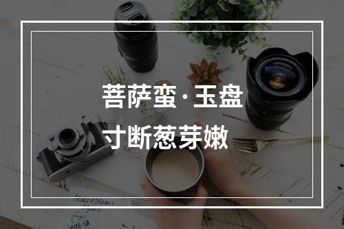 菩萨蛮·玉盘寸断葱芽嫩