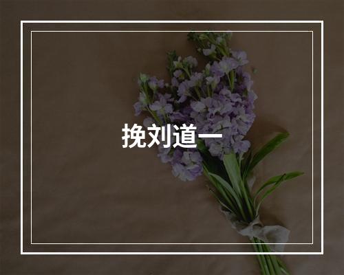 挽刘道一